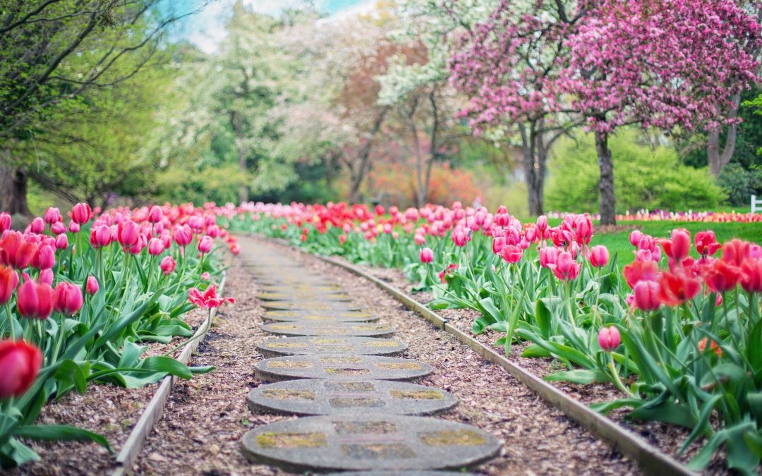 Entretenir son jardin