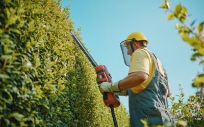 Les avantages d’un lamier sur télescopique pour l’élagage professionnel